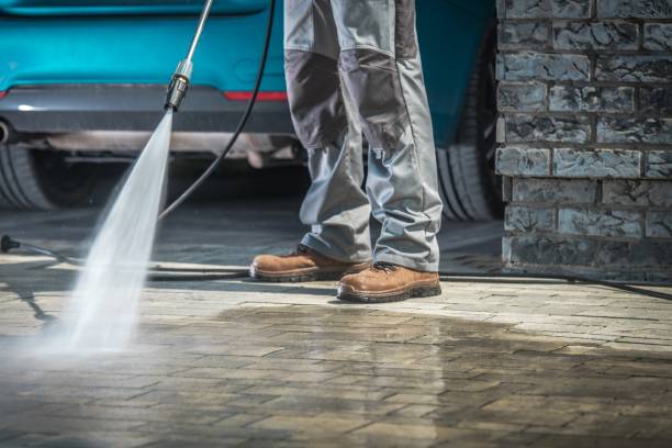 Best Soft Washing  in Salem, IL